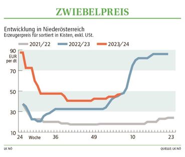 Grafik Zwiebelpreis 06 2024.jpg