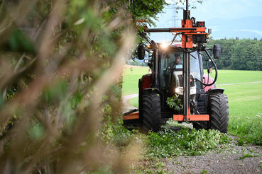 Freischneiden.jpg © LK Sbg/Dürnberger Freischneiden.jpg © LK Sbg/Dürnberger