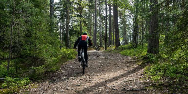 Mountainbike Forst.jpg © stock.adobe.com Mountainbike Forst.jpg © stock.adobe.com