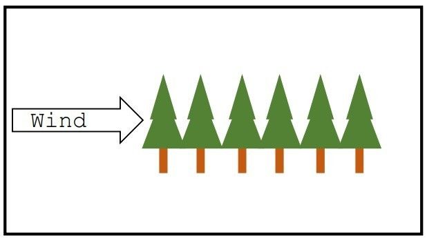 Schadholz Grafik 1.jpg © Michael Kopp Schadholz Grafik 1.jpg © Michael Kopp
