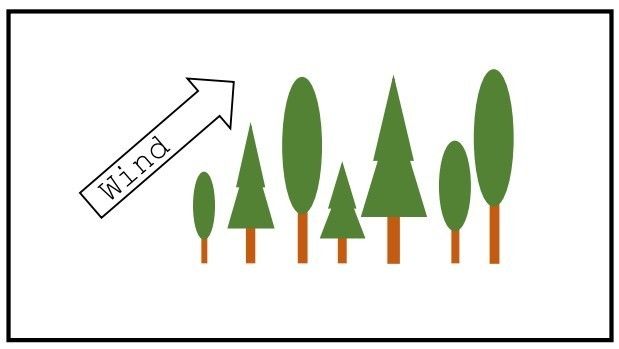 Schadholzgrafik 2.jpg © Michael Kopp Schadholzgrafik 2.jpg © Michael Kopp