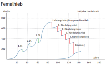 Femelhieb.png © Paulitsch