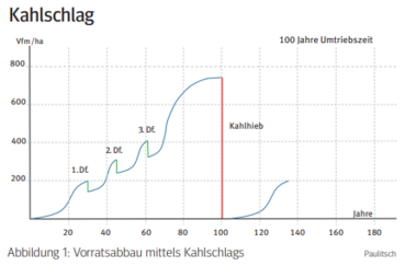 Kahlschlag.png © Archiv