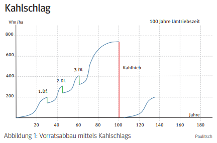 Kahlschlag.png