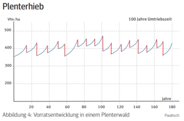 Plenterhieb.png © Archiv