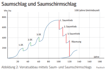 Saumschlag.png © Archiv