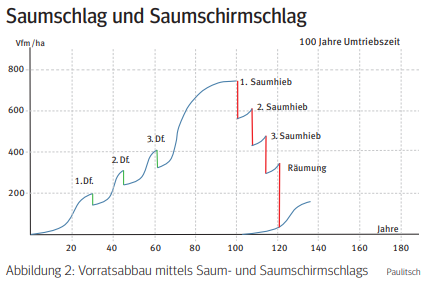 Saumschlag.png