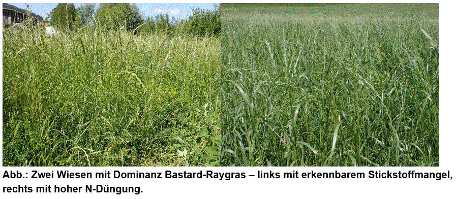 Zwei Wiesen.gif © LK Steiermark/Angeringer Zwei Wiesen.gif © LK Steiermark/Angeringer