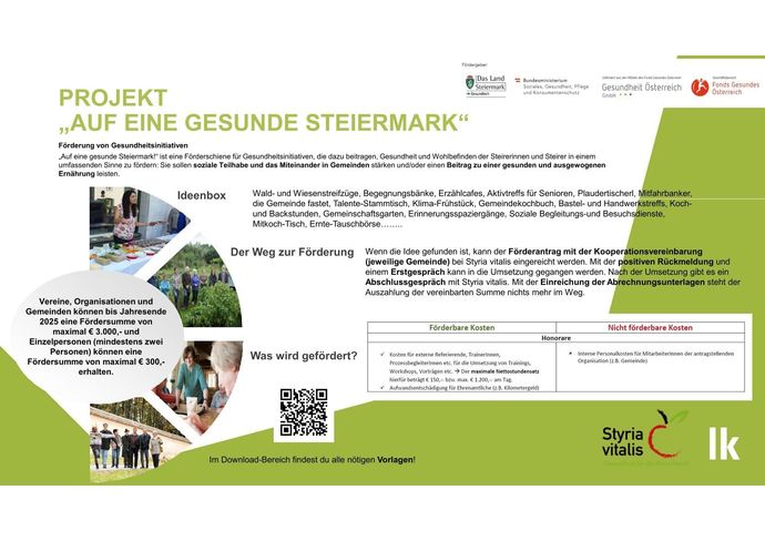 Vorlage Projekt auf eine gesunde Steiermark 202402.jpg