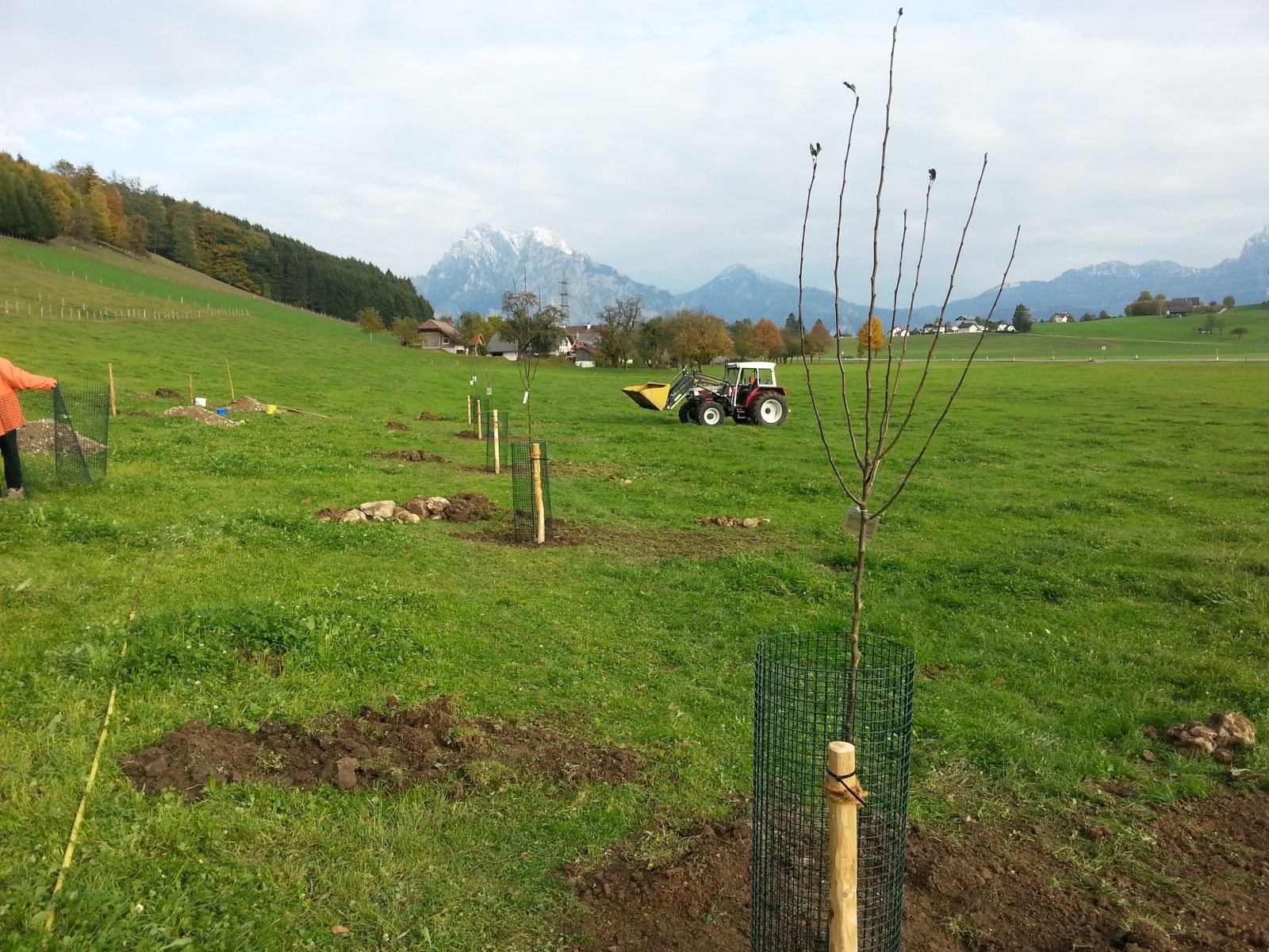 Gartentipp Passende Obstbaumform für passende Standorte LK OÖ Strebl.jpg