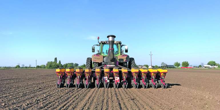 Maisaussaat © Innovation Farm/Butzenlechner