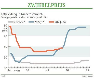 Grafik Zwiebelpreis 07 2024.jpg