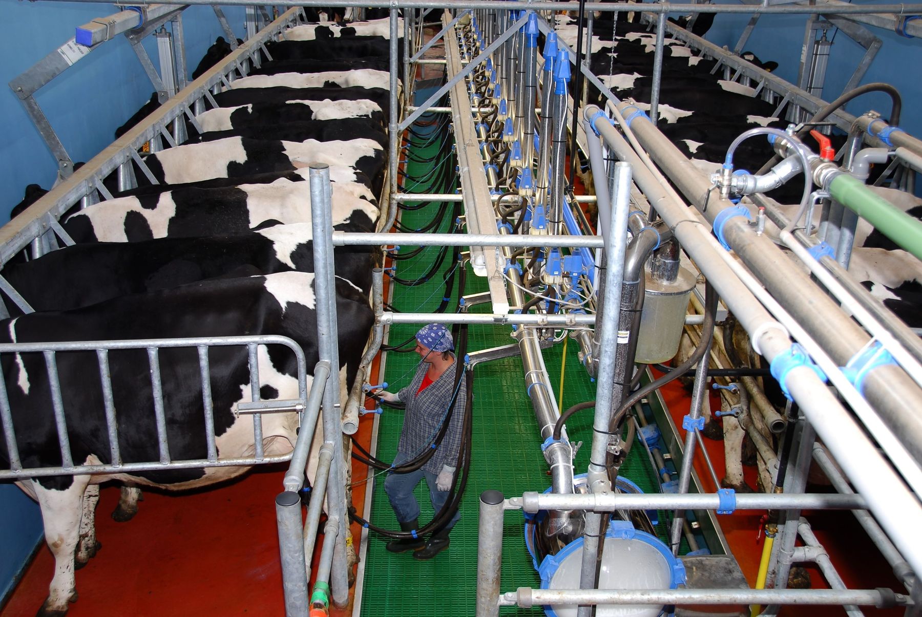 Swing_Over_29-ID30414.jpg © ararfoto.com Swing_Over_29-ID30414.jpg © ararfoto.com