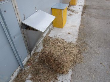 Futterraufe.jpg © Dominik Sima Futterraufe.jpg © Dominik Sima