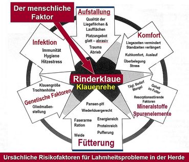 Abb.7 Risikofaktoren-LH 1.jpg