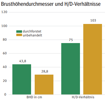 Brusthöhendurchmesser.png © Kordasch Brusthöhendurchmesser.png © Kordasch