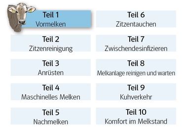 Serie_Melken.jpg © LK Niederösterreich Serie_Melken.jpg © LK Niederösterreich