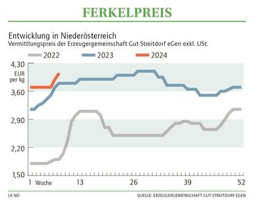 Grafik Ferkelpreis 08 2024.jpg