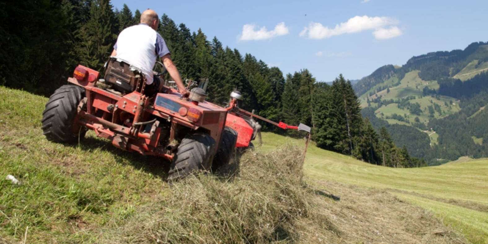 Heuernte_BA_Michaela-Theurl.jpg © Bio Austria/ Michaela Theurl Heuernte_BA_Michaela-Theurl.jpg © Bio Austria/ Michaela Theurl