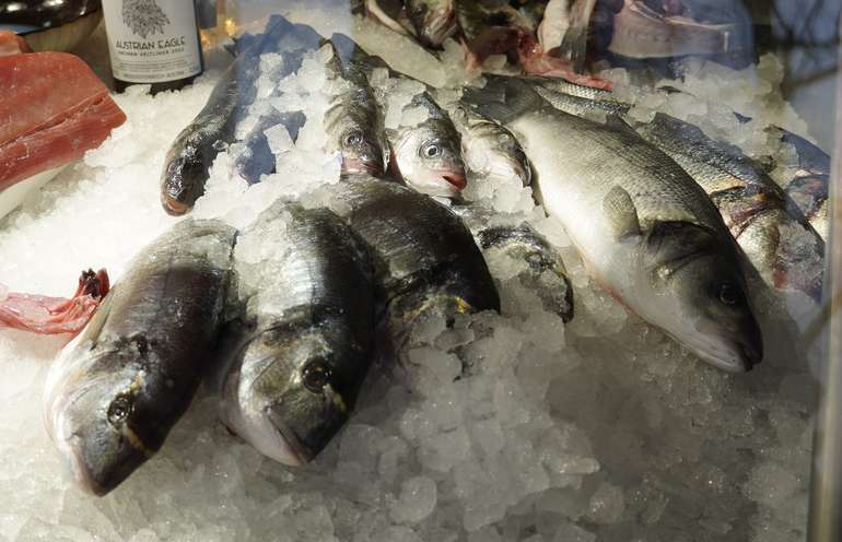 sb08_mt_fisch.jpg © Dürnberger sb08_mt_fisch.jpg © Dürnberger