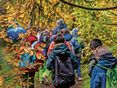 Kinder im Wald © AdobeStock/Frank Lambert_388606824