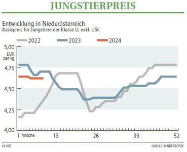 Grafik Stierpreis 09 2024.jpg