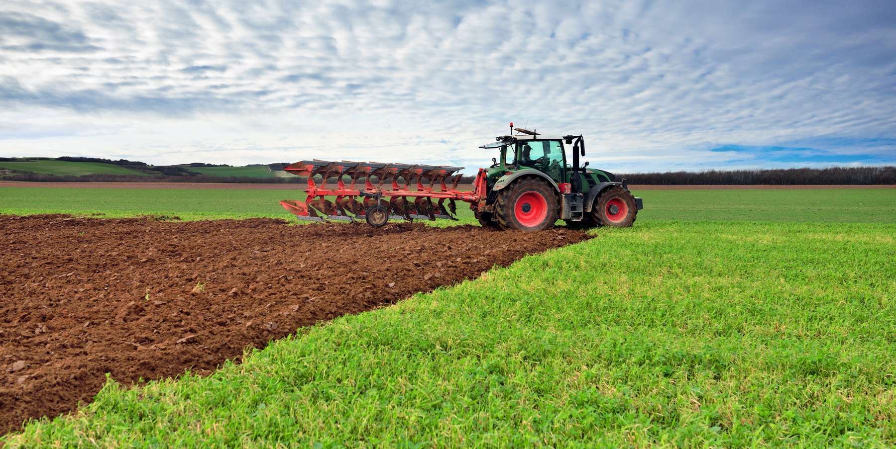 Acker Grünland.jpg © Damian/Image‘in Acker Grünland.jpg © Damian/Image‘in