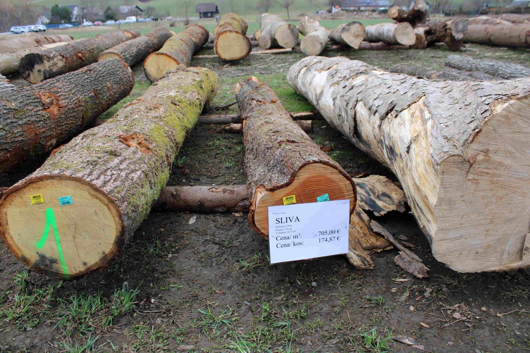 © Archiv © Archiv