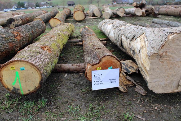 © Archiv © Archiv