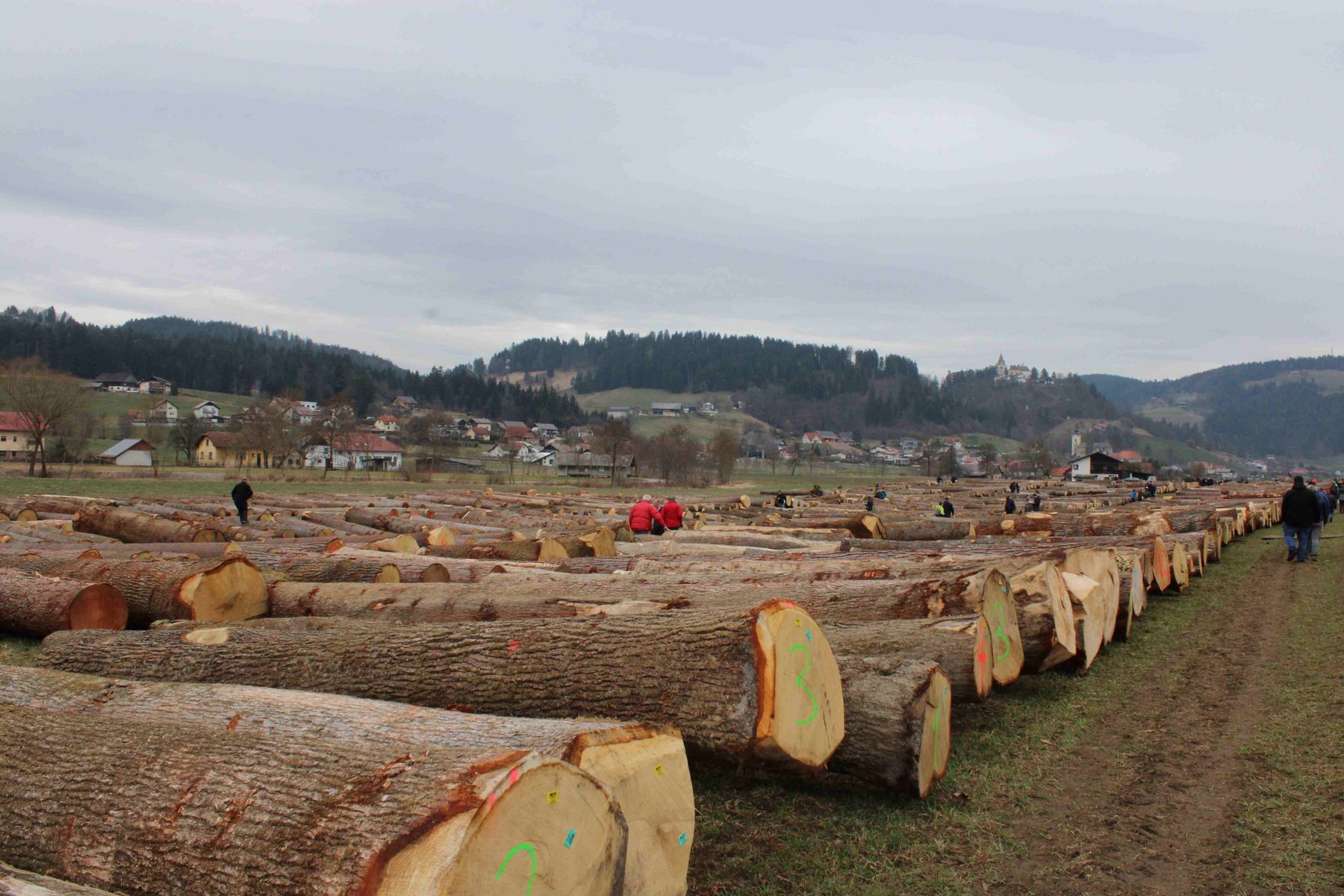 © Archiv © Archiv