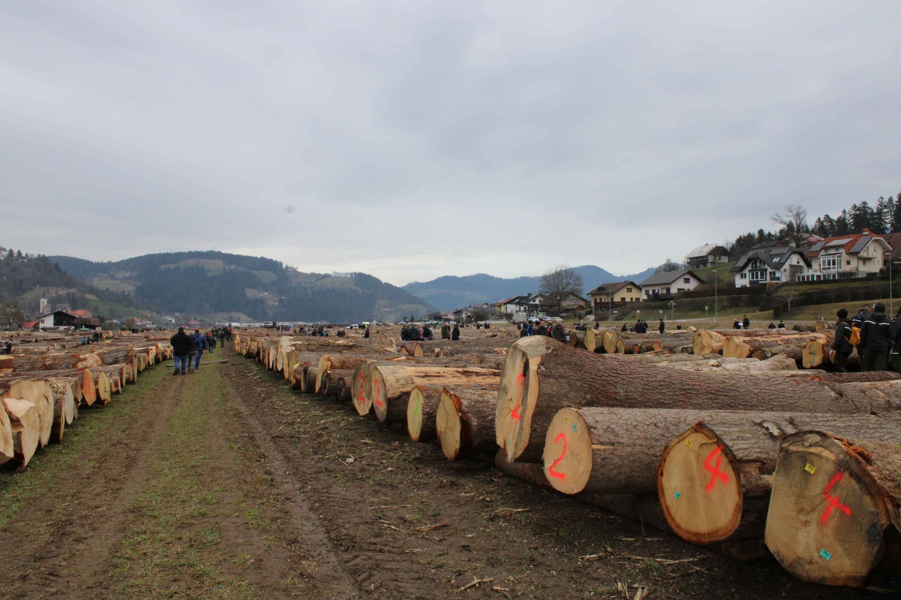 © Archiv © Archiv