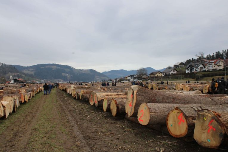 © Archiv © Archiv