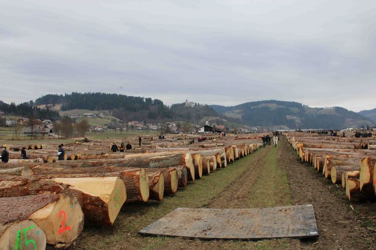 © Archiv © Archiv