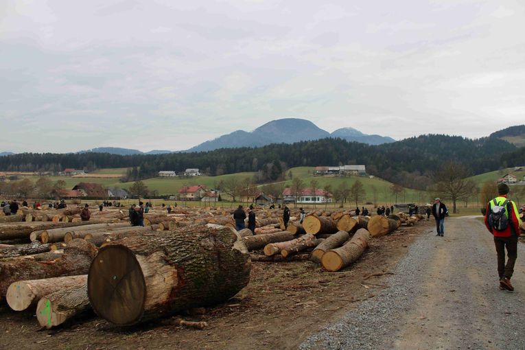 © Archiv © Archiv