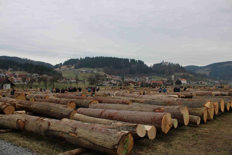 © Archiv © Archiv