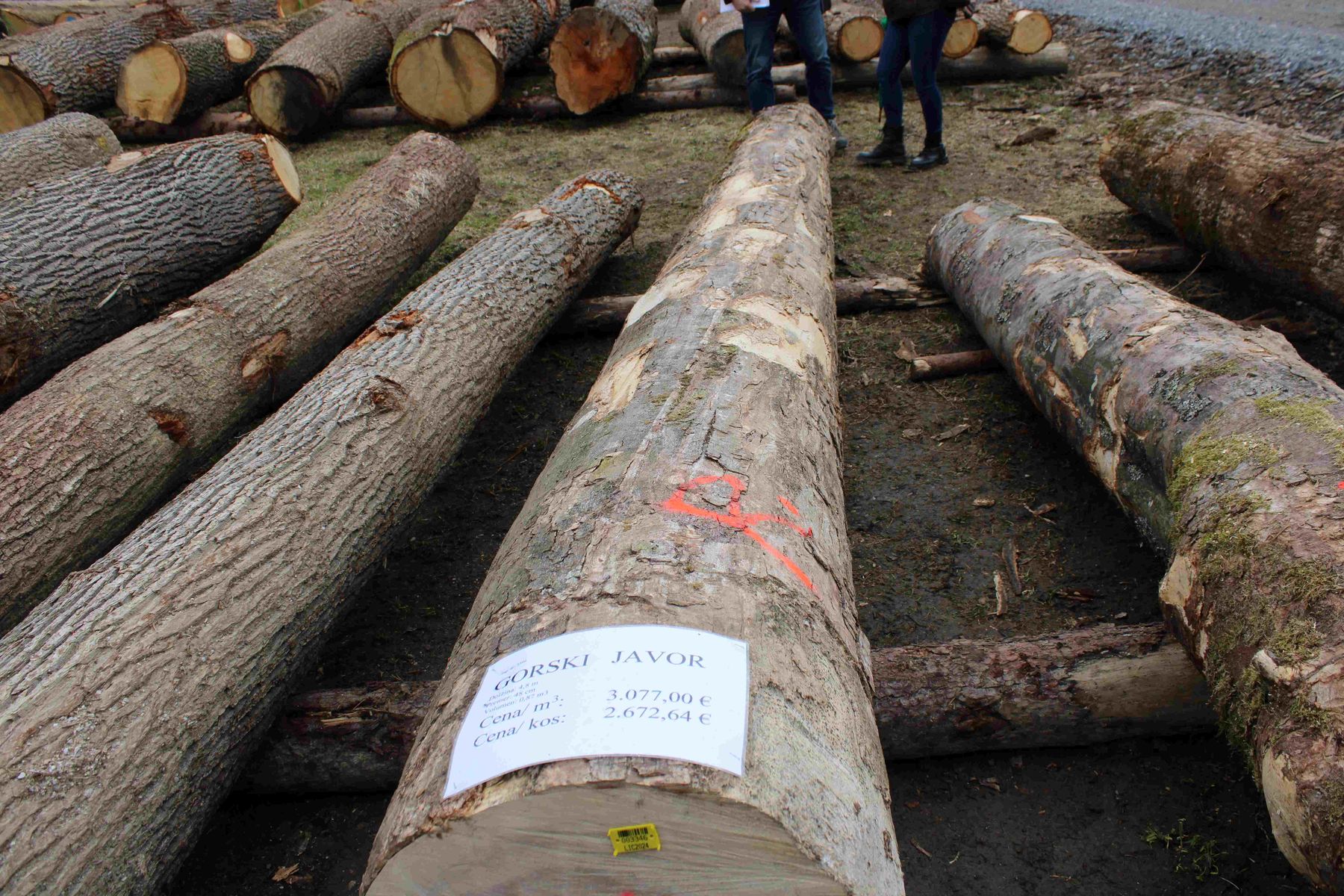 © Archiv © Archiv