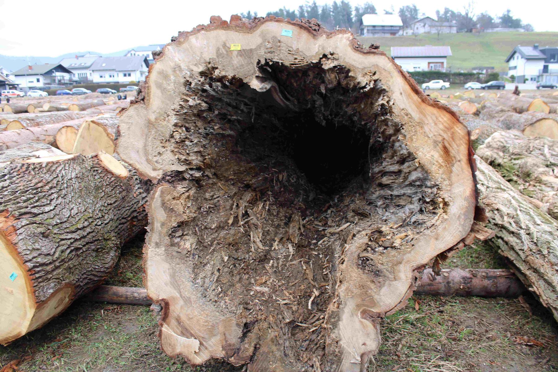 © Archiv © Archiv