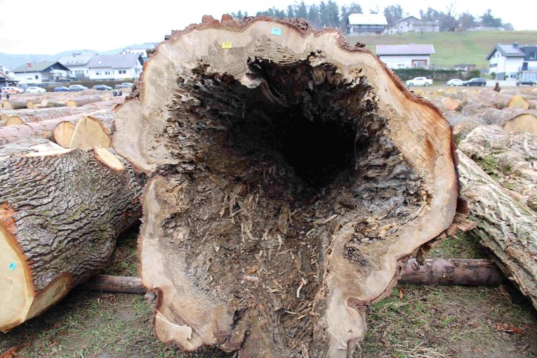 © Archiv © Archiv