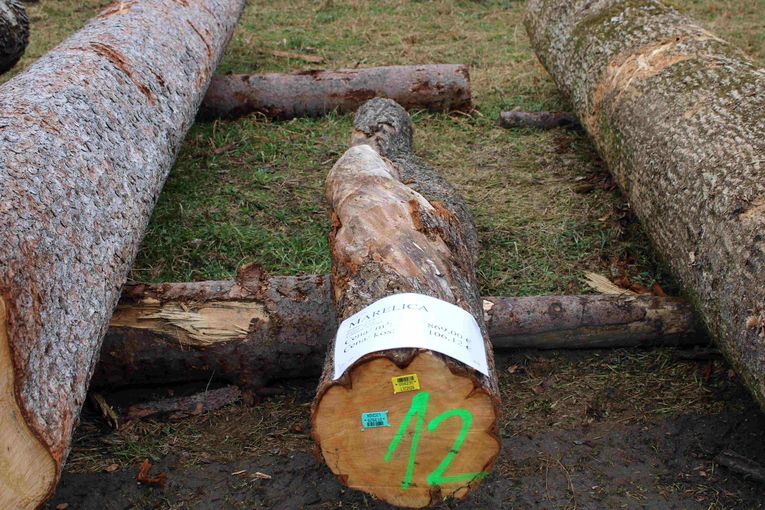 © Archiv © Archiv