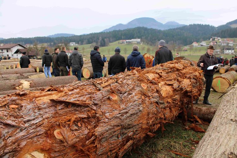 © Archiv © Archiv