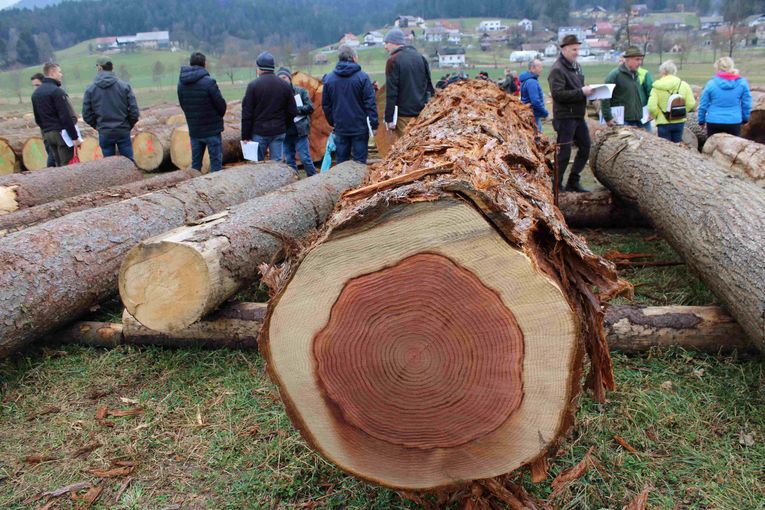 © Archiv © Archiv