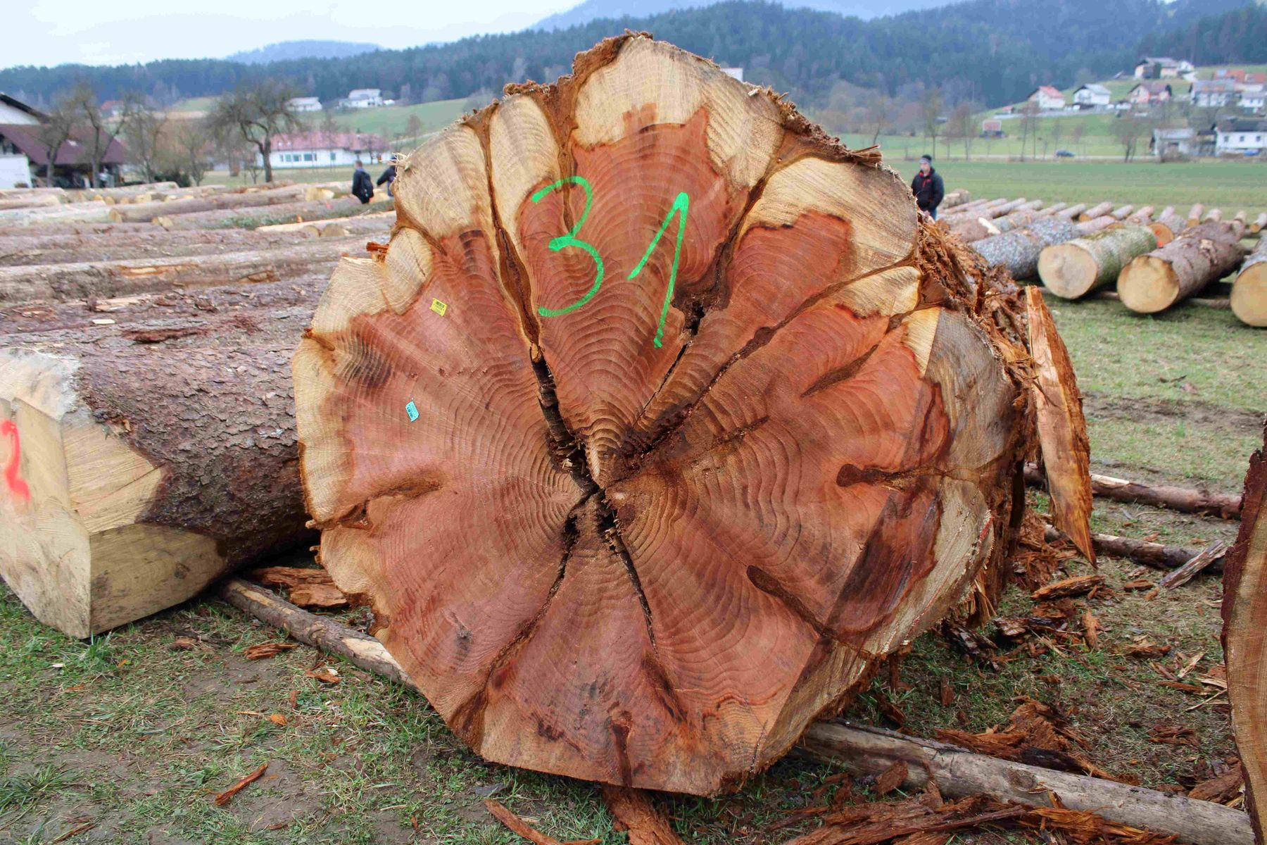 © Archiv © Archiv