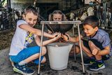 Kinder mit Melkstation.jpg © Georg Pomaßl/LK Niederösterreich