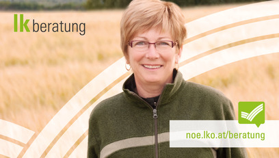 Header Beratung noe.lko.at © iStock.com/LivingImages Header Beratung noe.lko.at © iStock.com/LivingImages