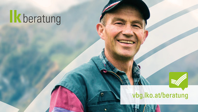 Header Beratung vbg.lko.at © iStock.com/nullplus Header Beratung vbg.lko.at © iStock.com/nullplus