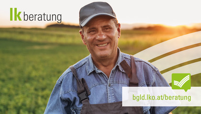 Header Beratung bgld.lko.at © iStock.com/ Header Beratung bgld.lko.at © iStock.com/