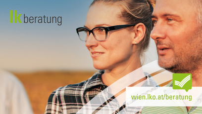 Header Beratung wien.lko.at © iStock.com/Zoran Zeremski Header Beratung wien.lko.at © iStock.com/Zoran Zeremski