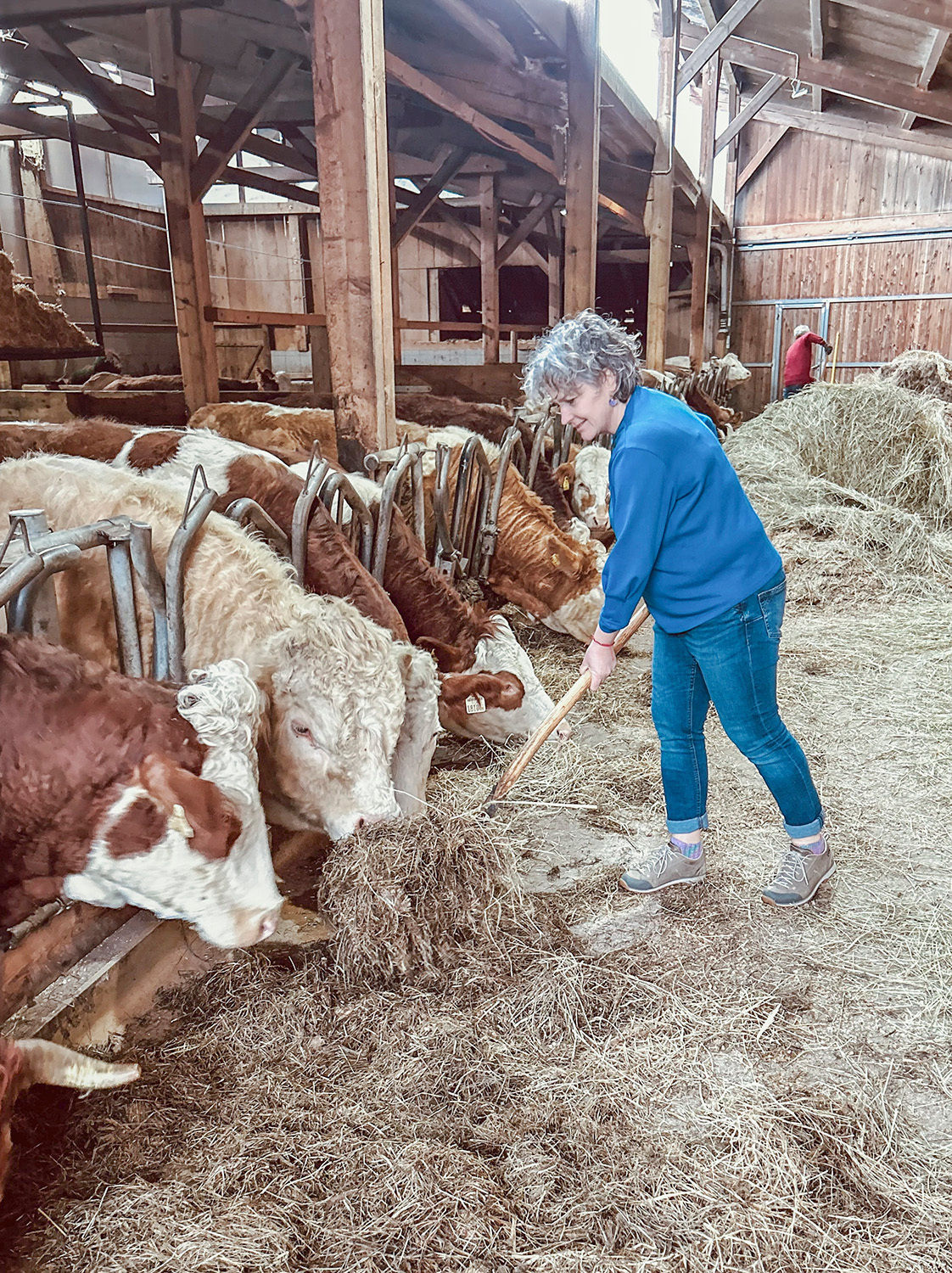 Halbfurter_Seite1 Kopie.jpg © Privat Halbfurter_Seite1 Kopie.jpg © Privat