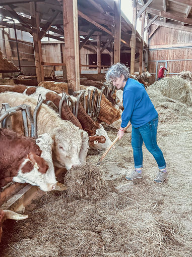 Halbfurter_Seite1 Kopie.jpg © Privat Halbfurter_Seite1 Kopie.jpg © Privat