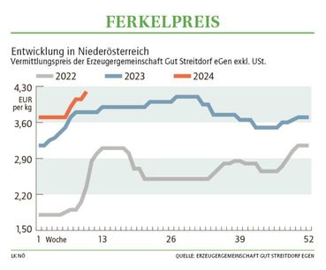 Grafik Ferkelpreis 10_2024.jpg © LK NÖ